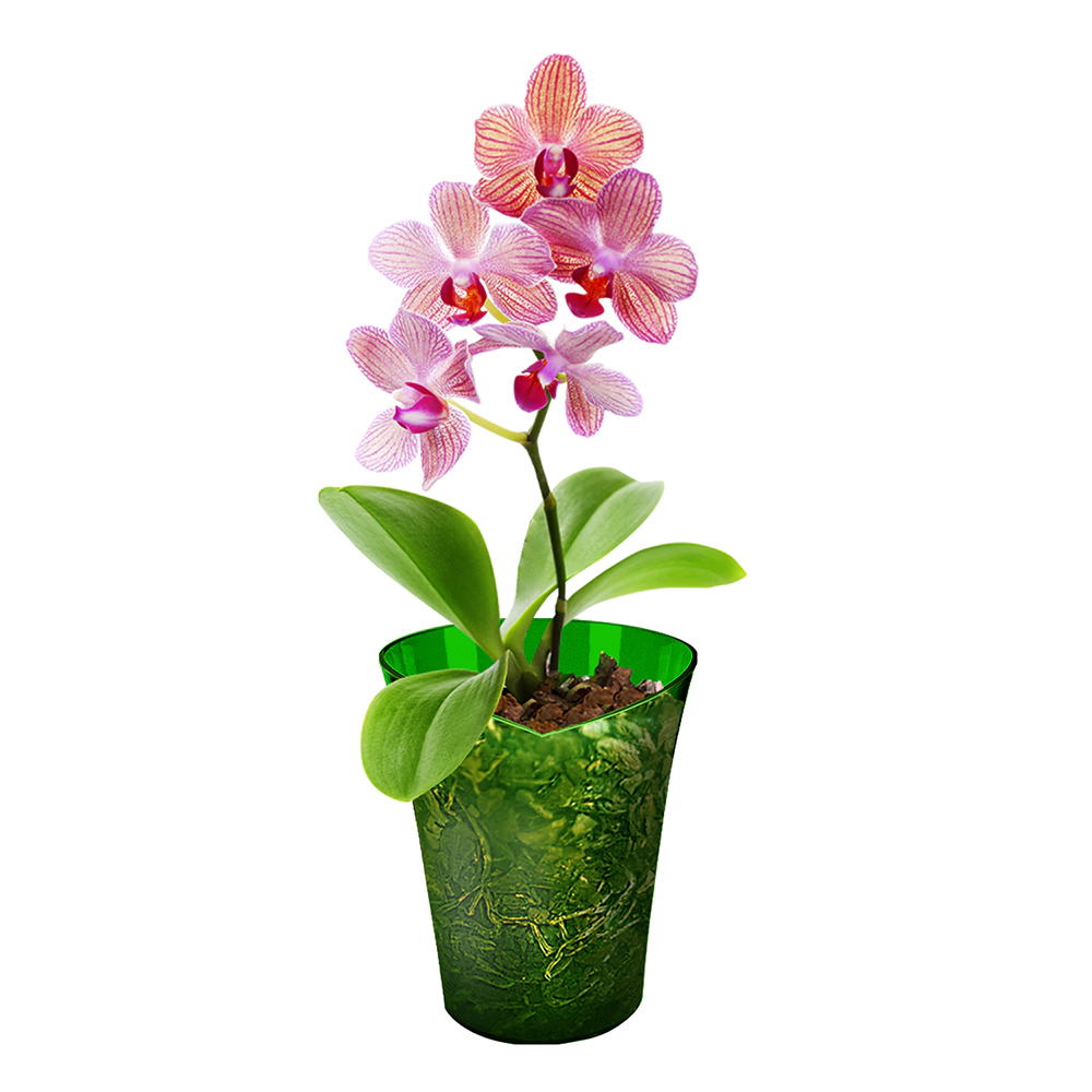 Кашпо для орхидей пластиковое Орхидея d14 см h17 см 1,5 л лайм