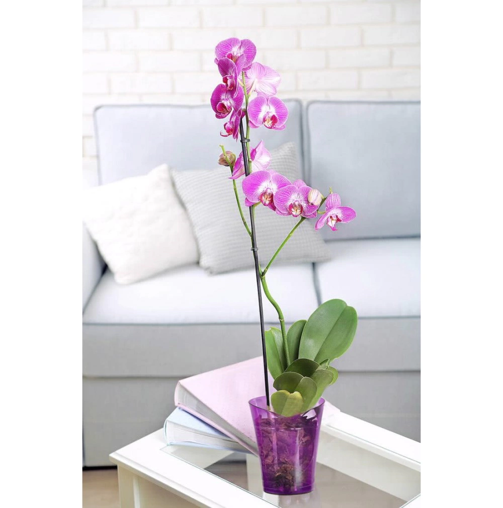 Кашпо для орхидей пластиковое Орхидея d14 см h17 см 1,5 л фиолетовый