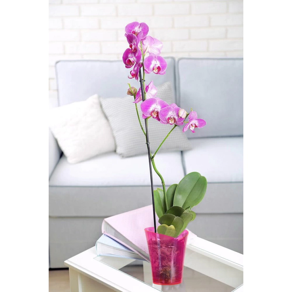 Кашпо для орхидей пластиковое Орхидея d14 см h17 см 1,5 л розовый