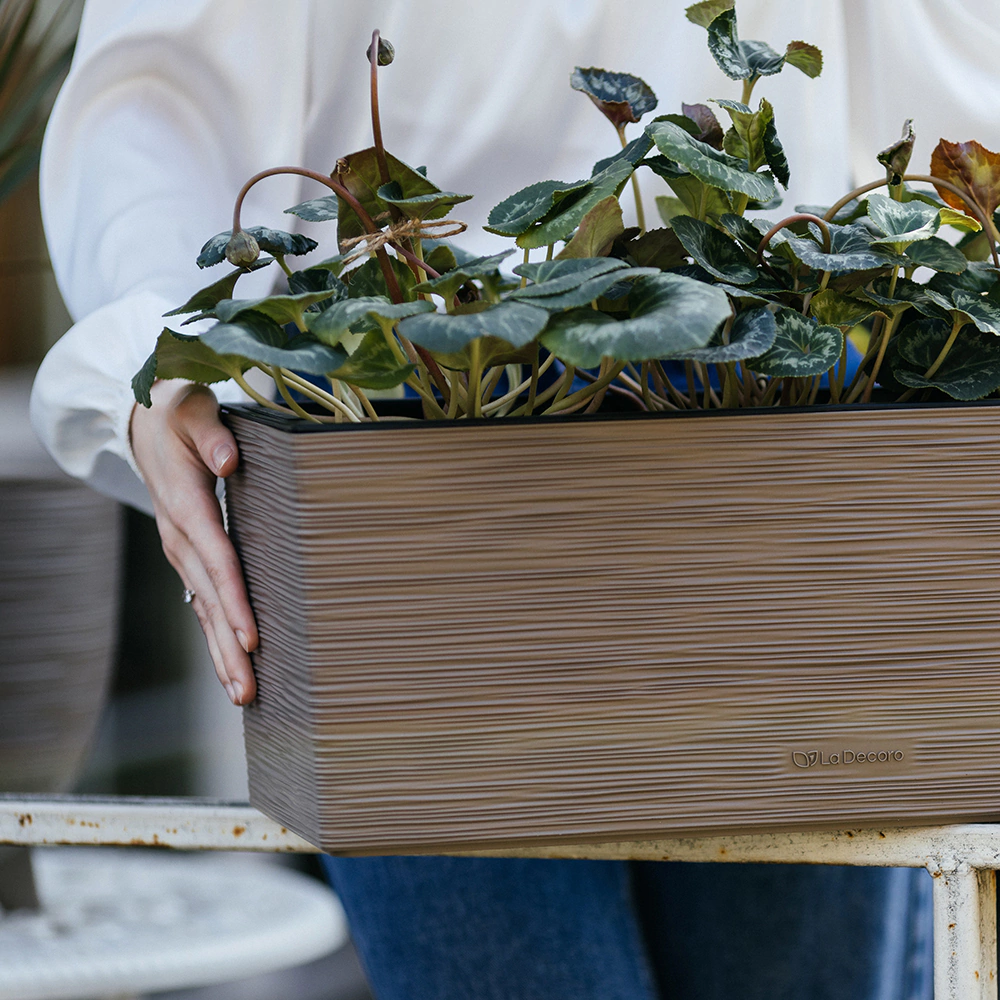 Балконный ящик пластиковый 19,2х50х19,3 см 10 л La Decoro пралине