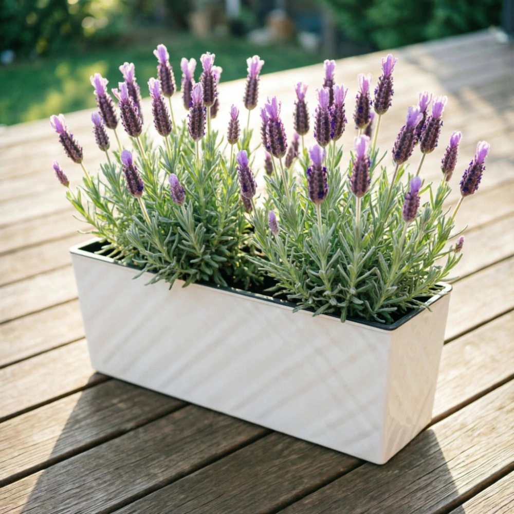 Балконный ящик пластиковый Manhattan Cube белоснежный жасмин 40х14,8х14,3 см 7 л