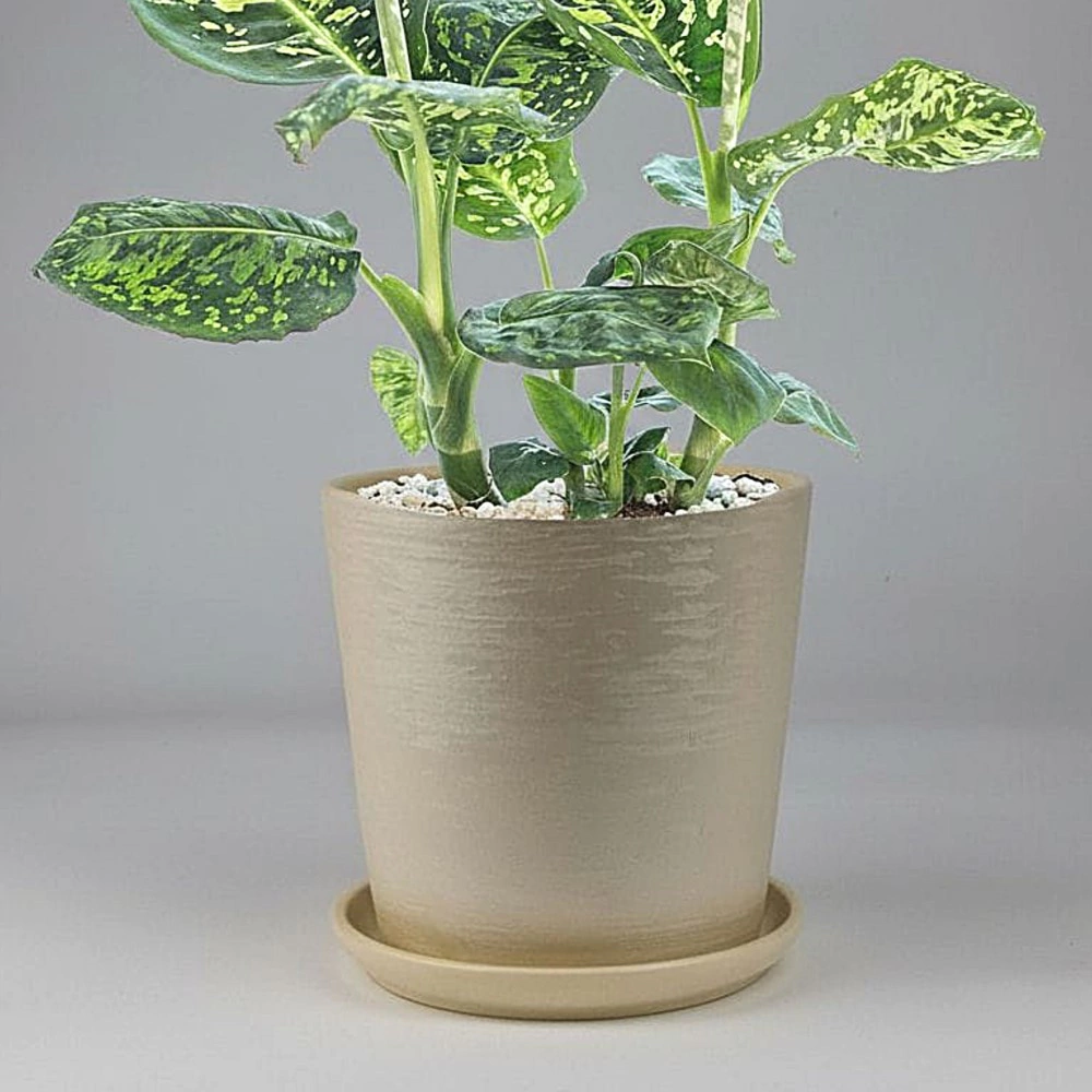 Горшок керамический Бархат конус бежевый d12 см h11 см 0,8 л