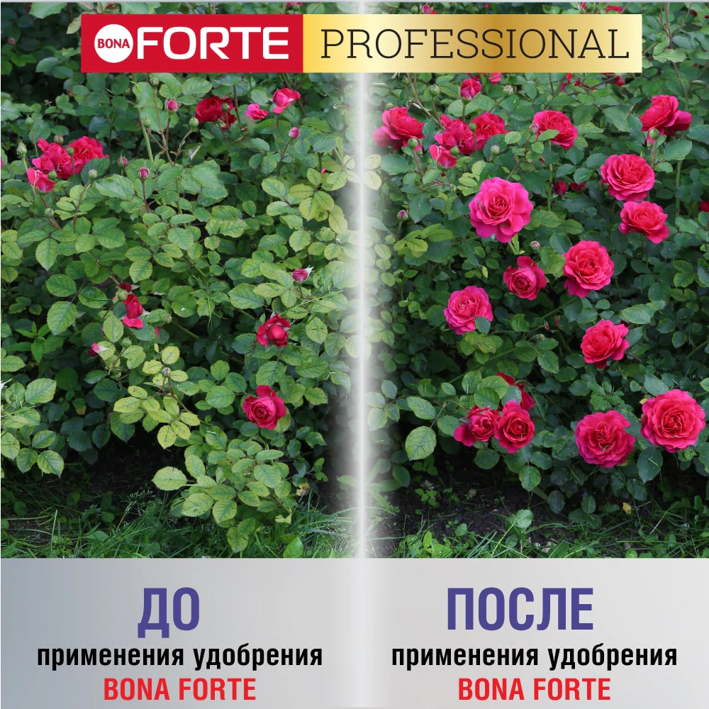 Удобрение минеральное для пионов и роз Bona Forte 1 л