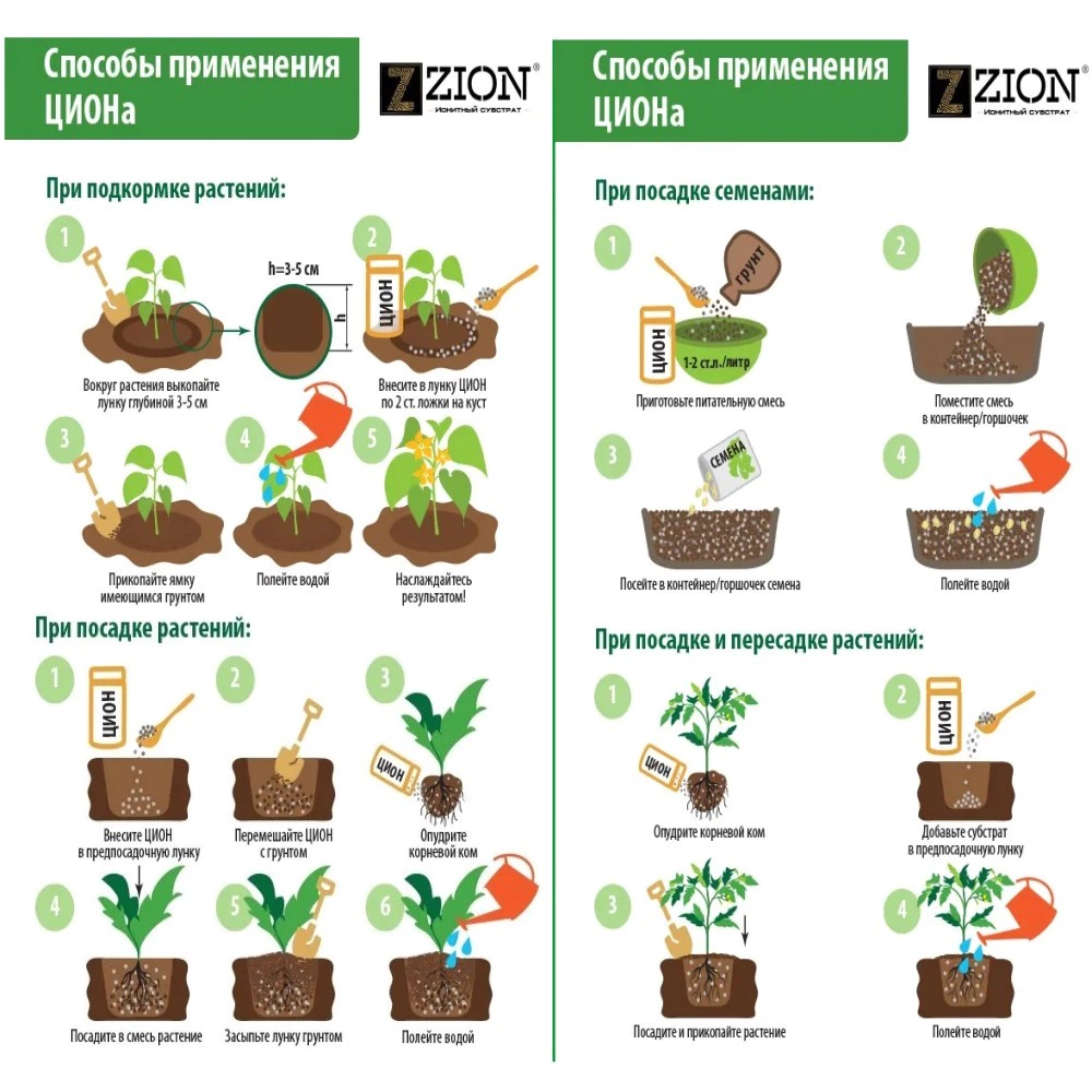 Питательная добавка для клубники ZION Protect 450 г