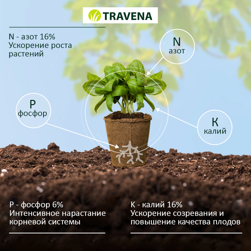 Удобрение для рассады TRAVENA 100 г