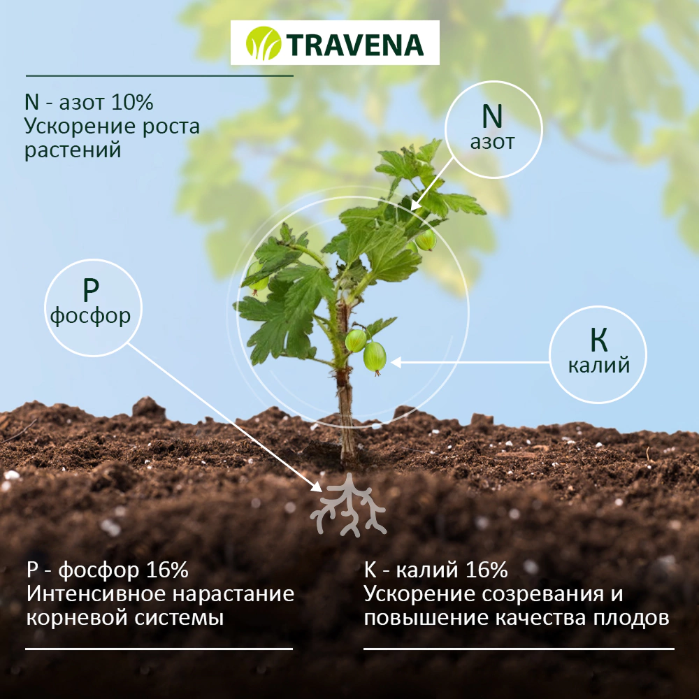 Удобрение для плодово-ягодных культур TRAVENA 100 г