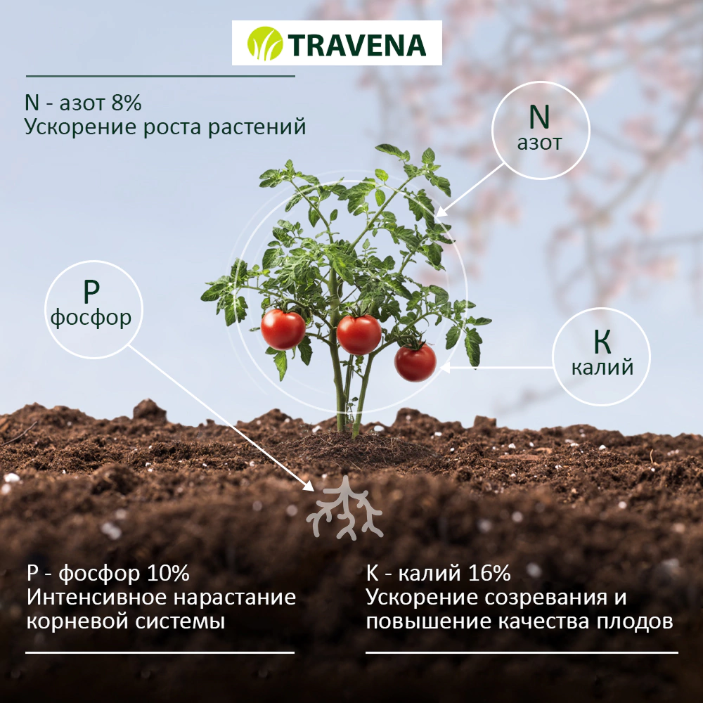 Удобрение для томатов, перцев и баклажанов TRAVENA 100 г