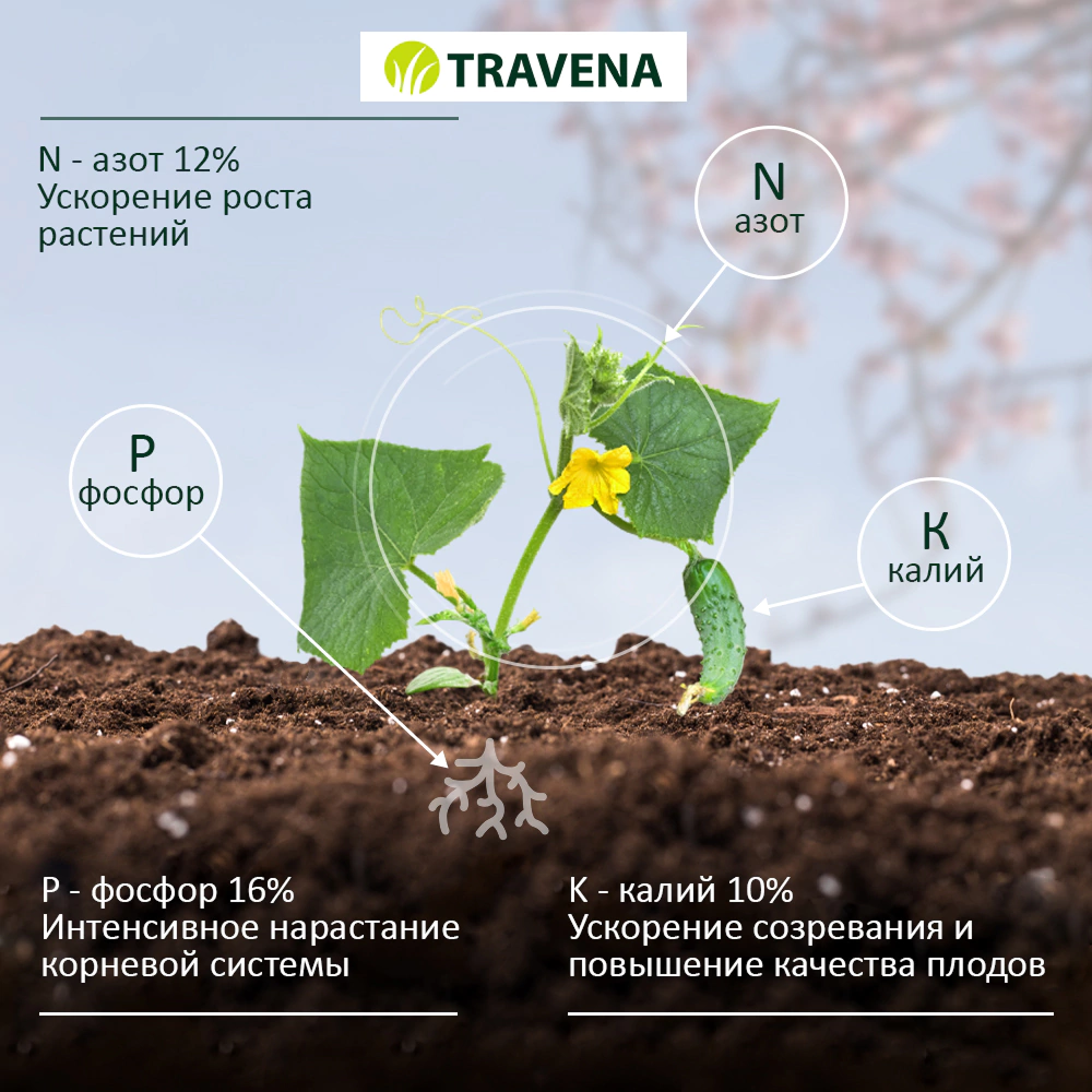 Удобрение для огурцов и кабачков TRAVENA 100 г