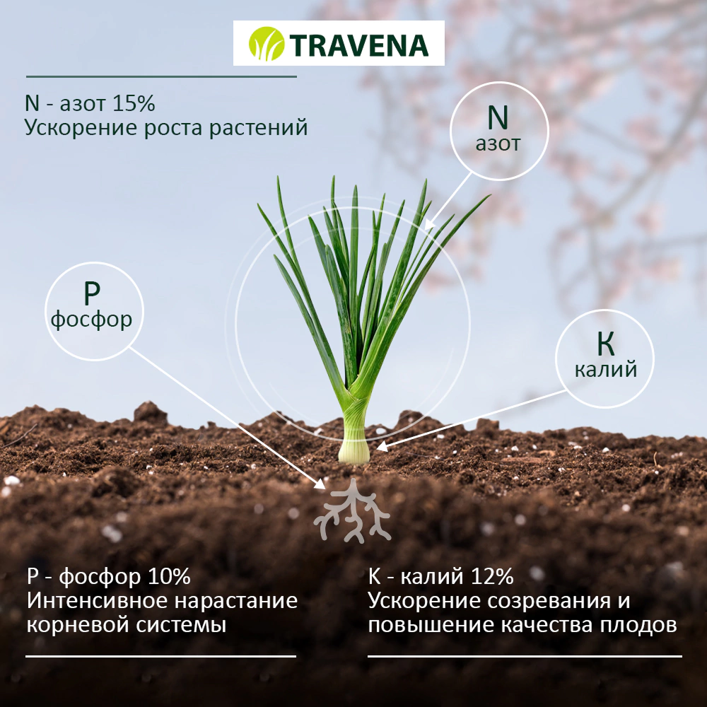 Удобрение для лука и чеснока TRAVENA 100 г
