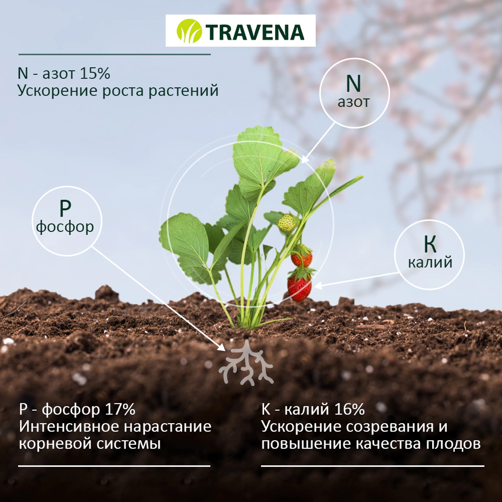 Удобрение для клубники и земляники TRAVENA 100 г