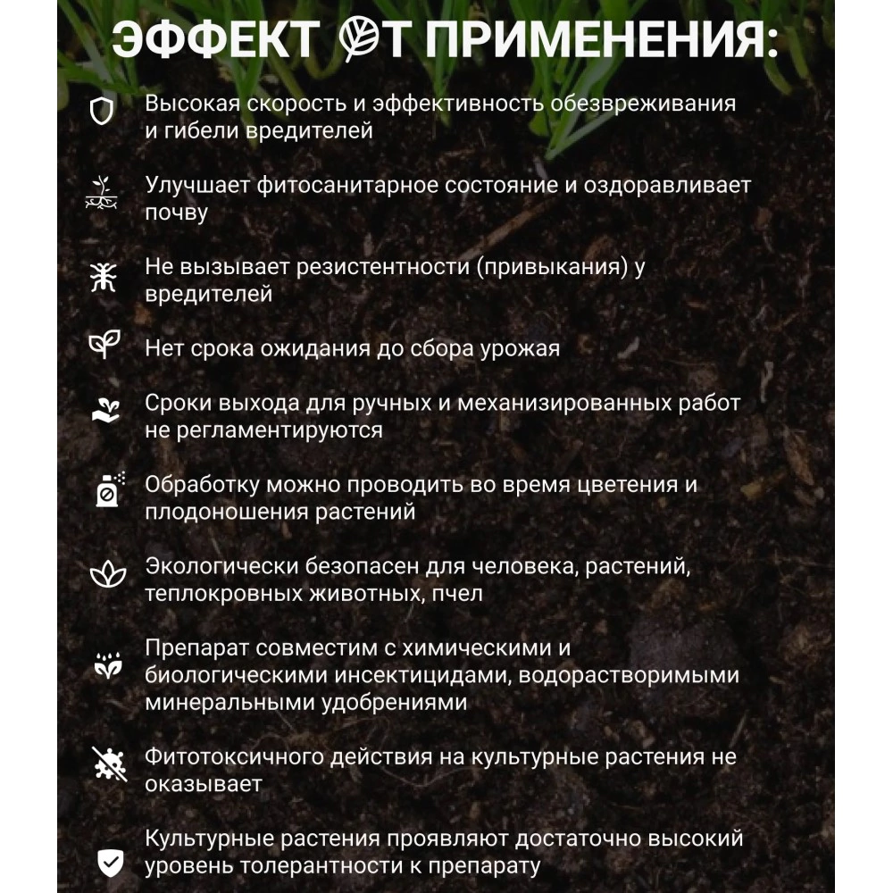 Средство защиты от почвенных вредителей Боверихелп 60 г ЭкоДачник