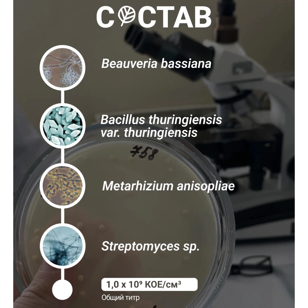 Средство защиты от почвенных вредителей Боверихелп 60 г ЭкоДачник