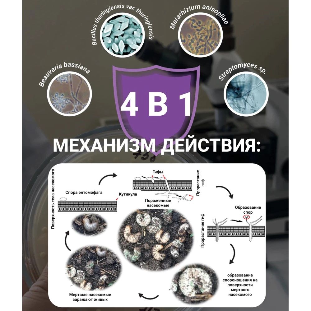 Средство защиты от почвенных вредителей Боверихелп 60 г ЭкоДачник