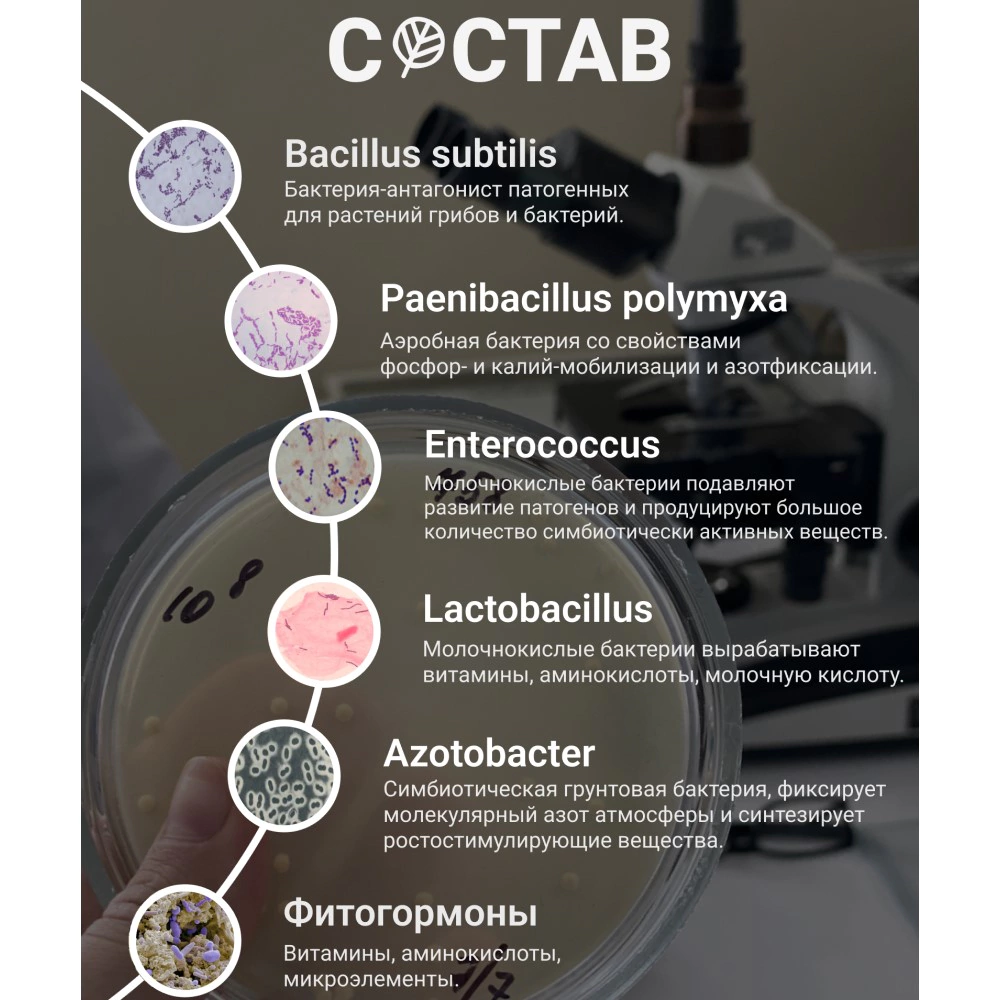Средство защиты Оздоровитель почвы БТУ 15 мл ЭкоДачник