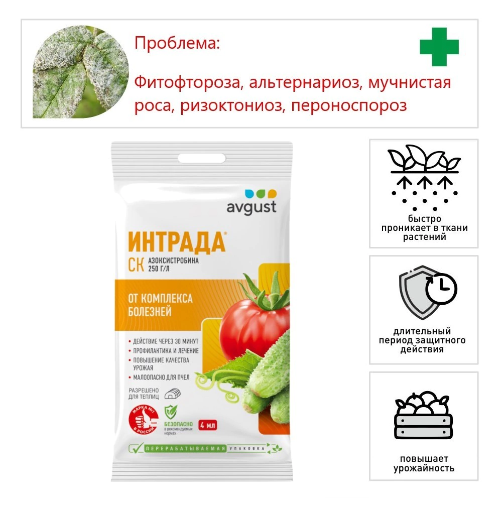 Средство от мучнистой росы на овощных культурах Интрада 4 мл