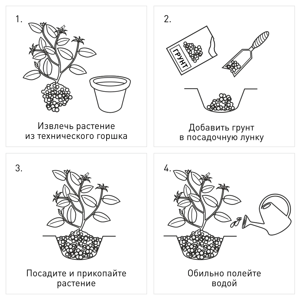 Грунт универсальный для цветов 10 л TRAVENA