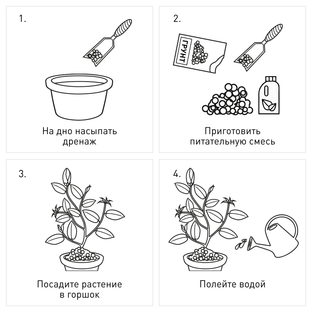 Грунт для кактусов 2,5 л Цветочное счастье ФАСКО