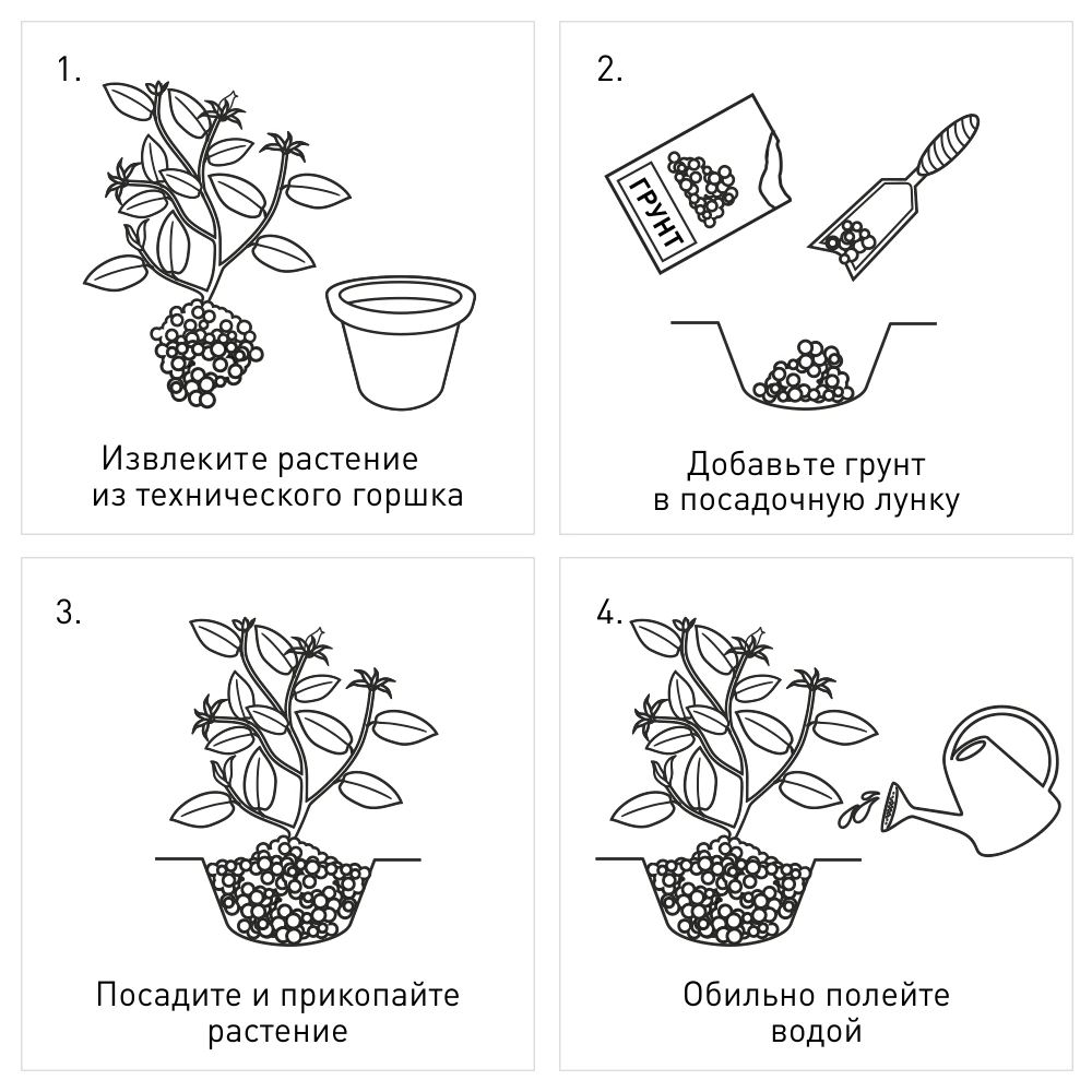 Грунт для голубики кислый ФАСКО 50 л