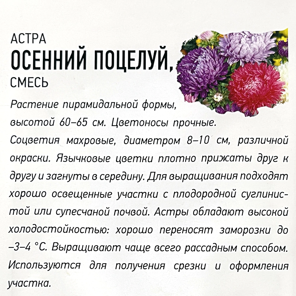 Астра Осенний поцелуй смесь 3 г Удачные семена