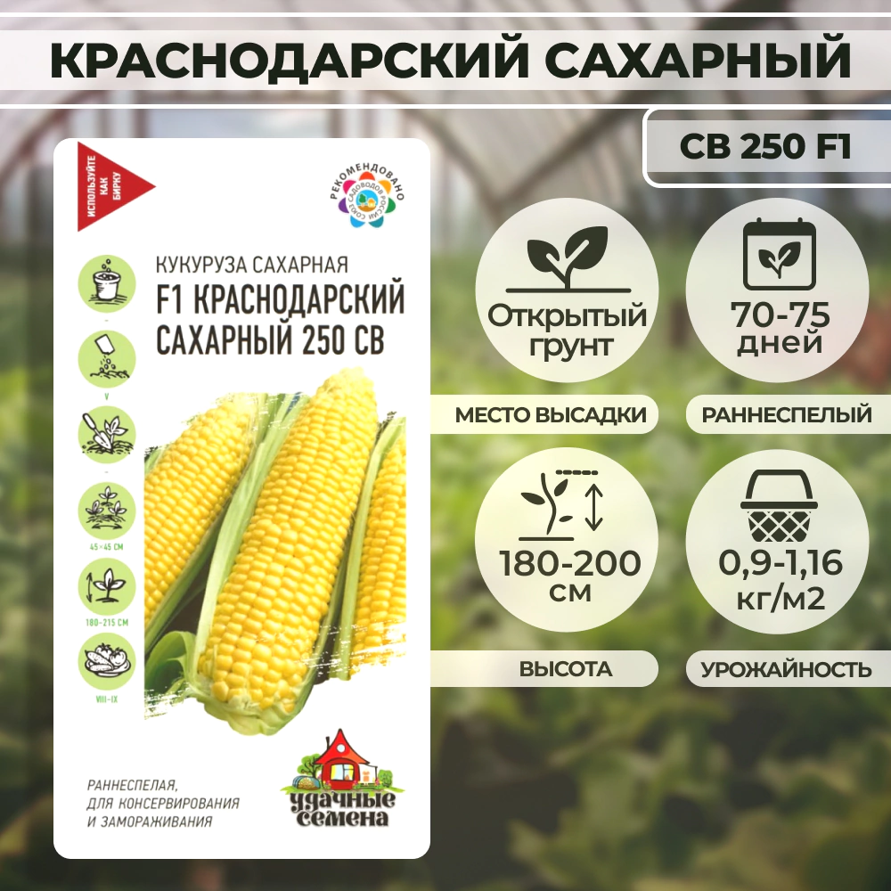 Кукуруза Краснодарский сахарный 250 СВ F1 5 г Удачные семена