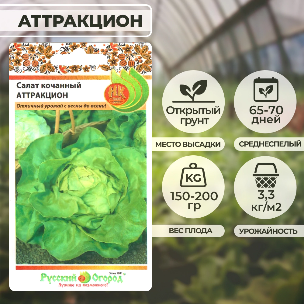 Салат кочанный Аттракцион 1 г Русский огород