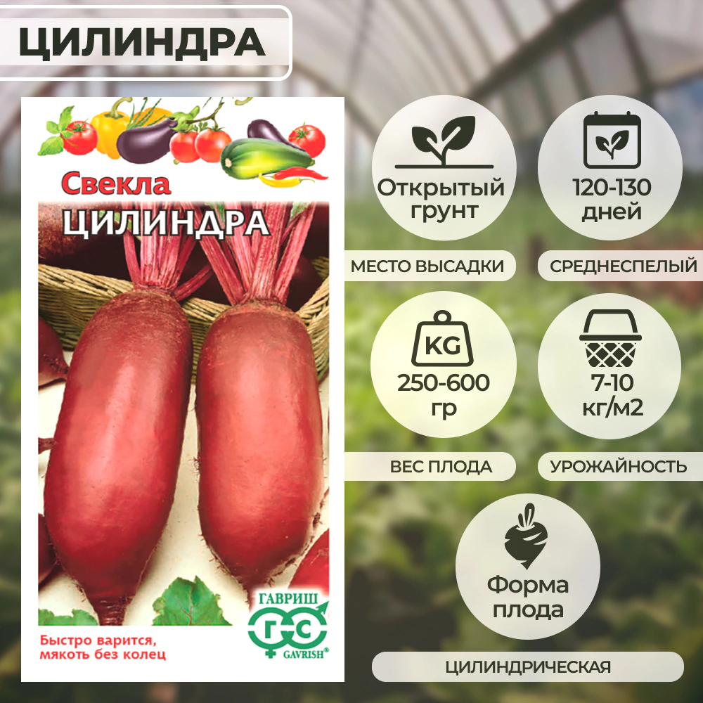 Свекла Цилиндра 3 г