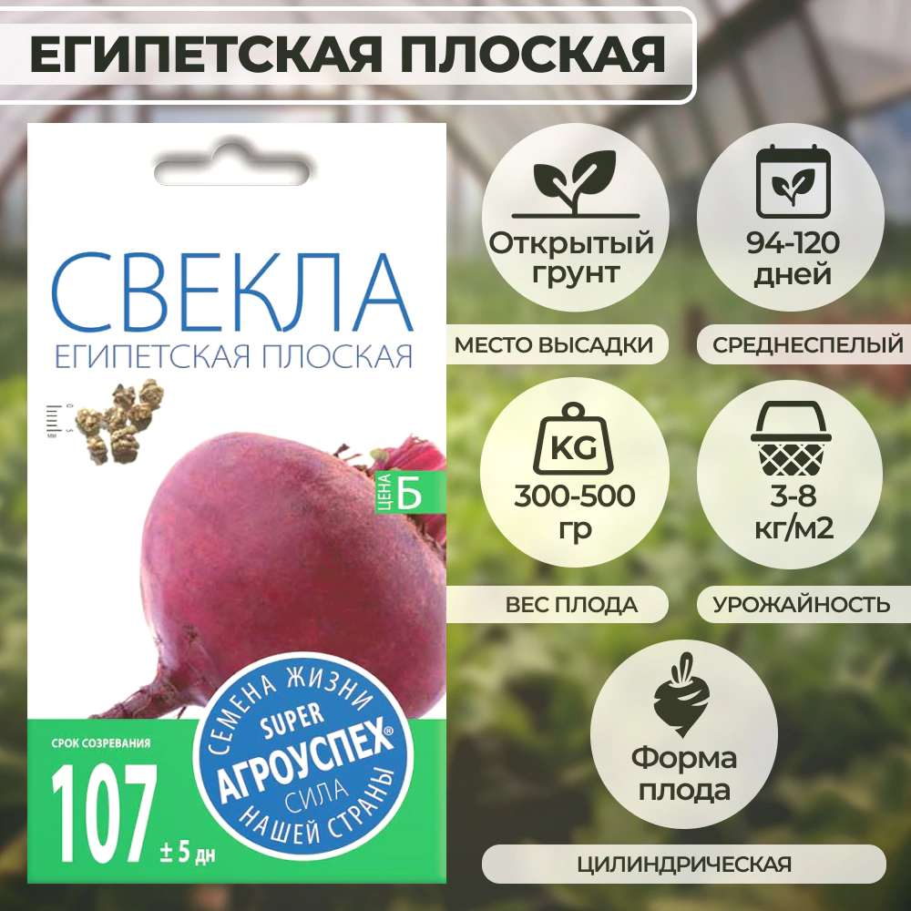 Свекла Египетская плоская 3 г Агроуспех