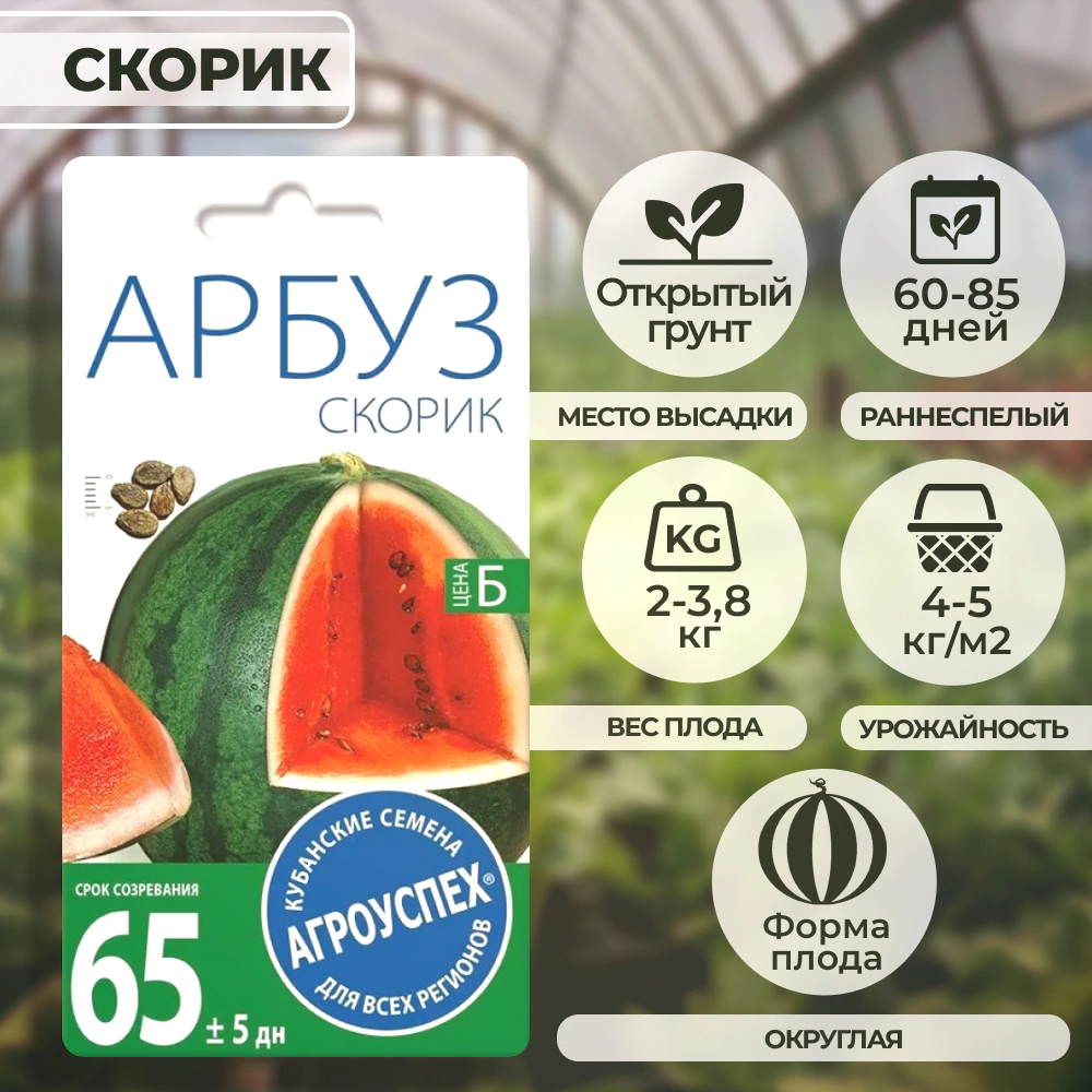 Арбуз Скорик 2 г Агроуспех