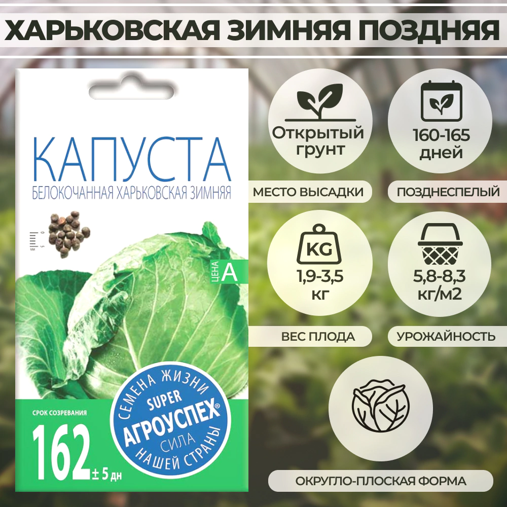 Капуста Харьковская зимняя поздняя 1 г