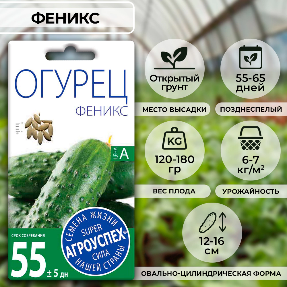 Огурец Феникс позднеспелый 1 г
