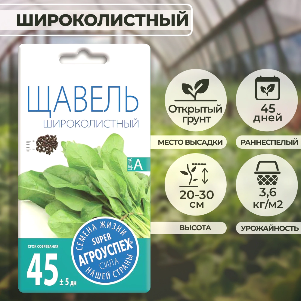 Щавель Широколистный 2 г Агроуспех