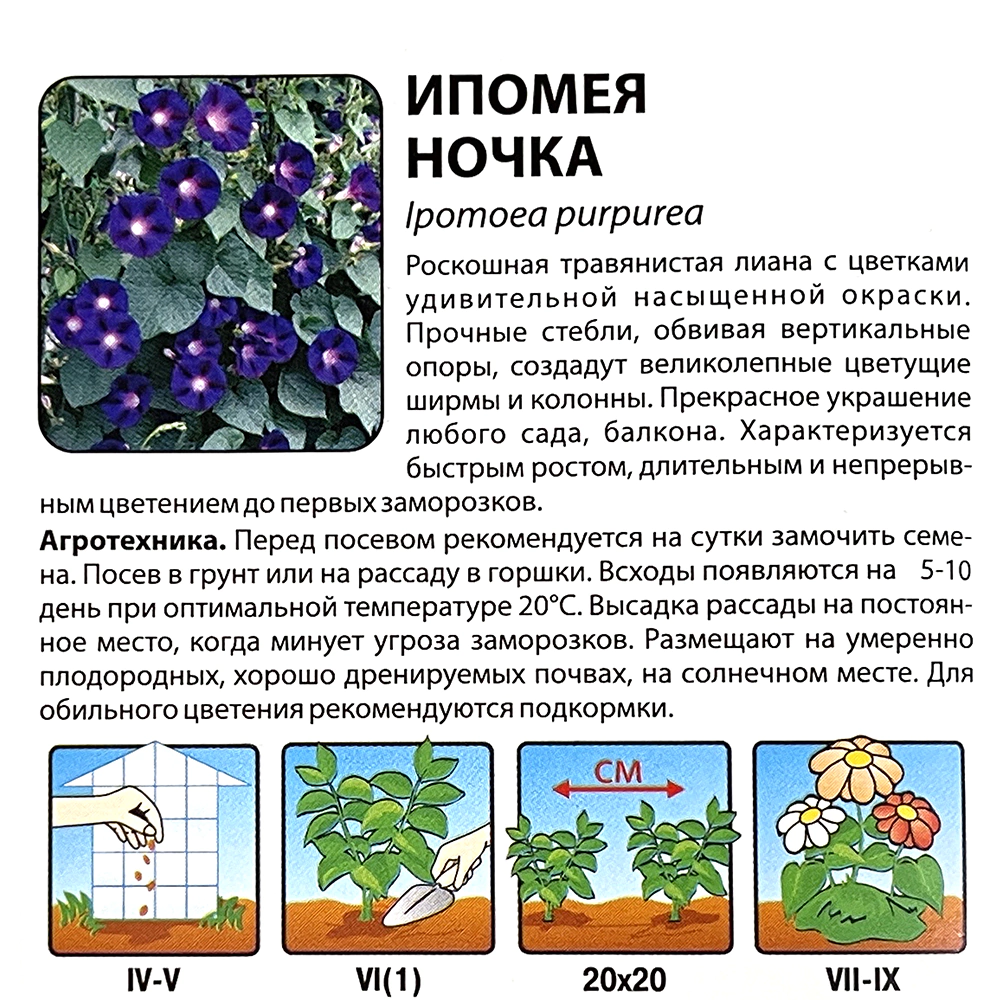 Ипомея Ночка 200% 0,1 г Русский огород