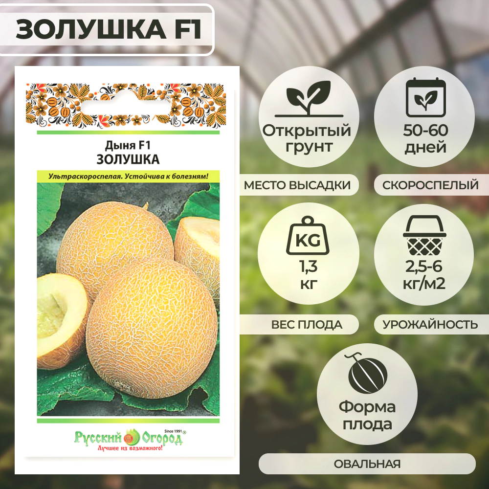 Дыня Золушка F1, 5 шт