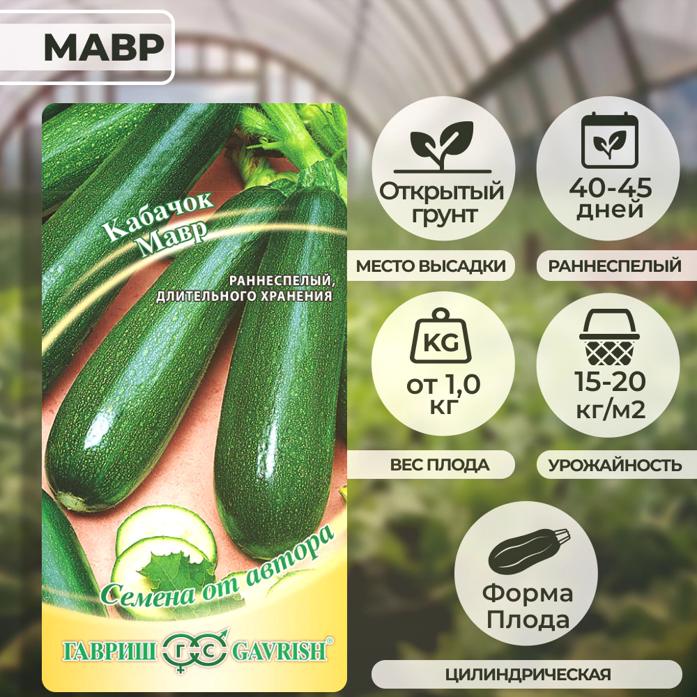 Кабачок Мавр 2 г Гавриш