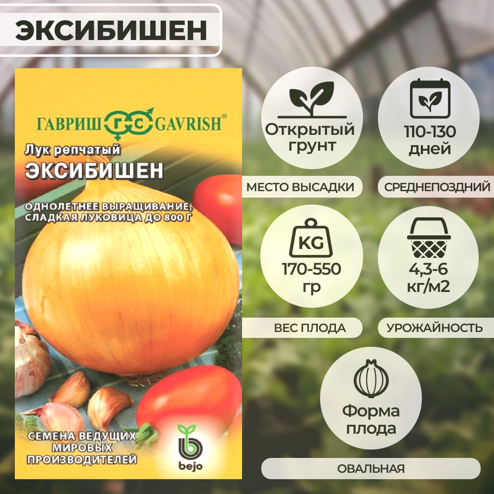 Лук репчатый Эксибишен 0,2 г