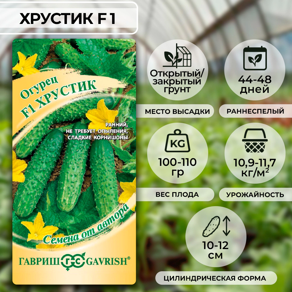 Огурец Хрустик F1 10 шт корнишон Н12 Гавриш