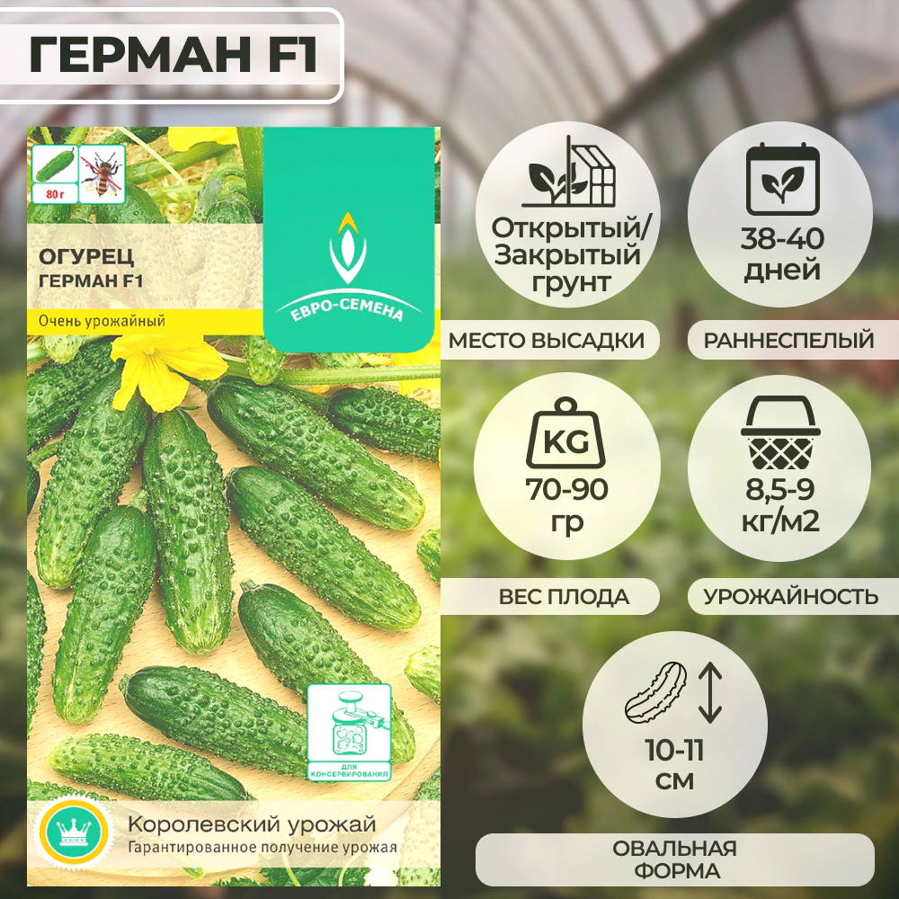 Огурец Герман F1, 8 шт