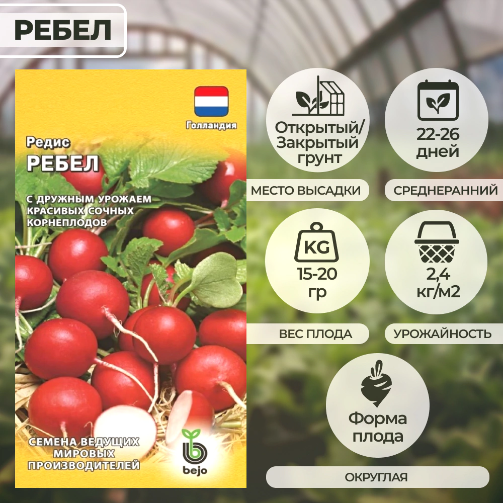 Редис Ребел 1 г
