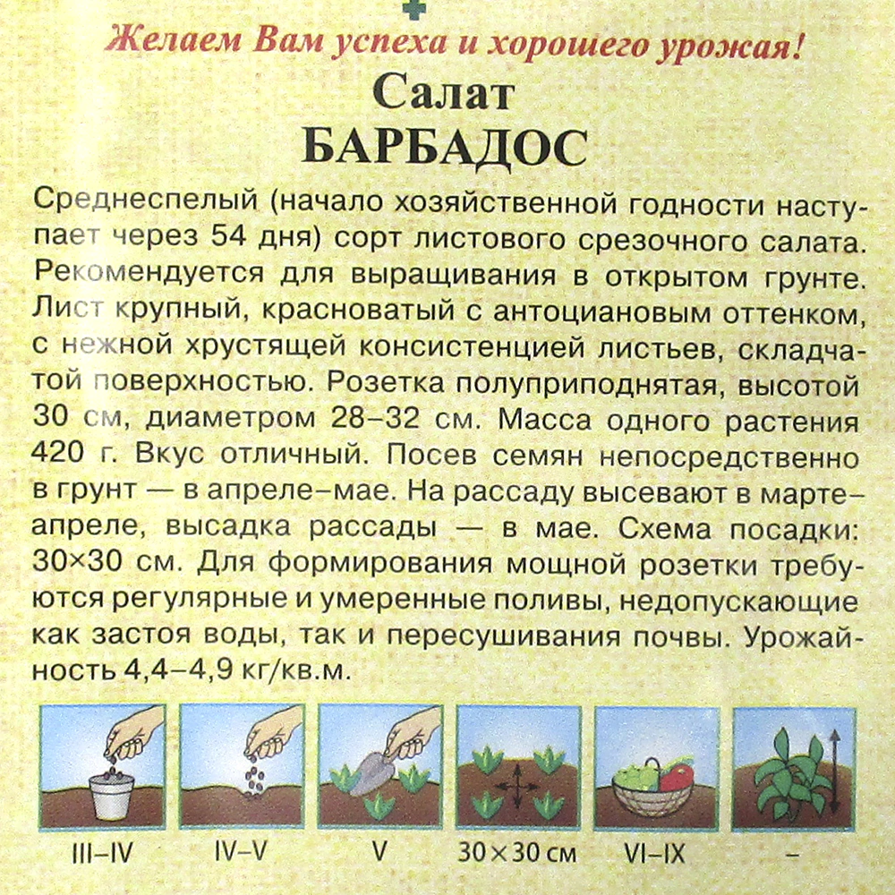 Салат красный Барбадос 0,5 г Н9 Гавриш