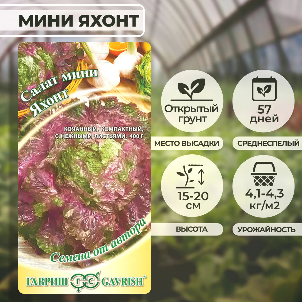 Салат мини Яхонт 0,5 г красный кочанный Н9