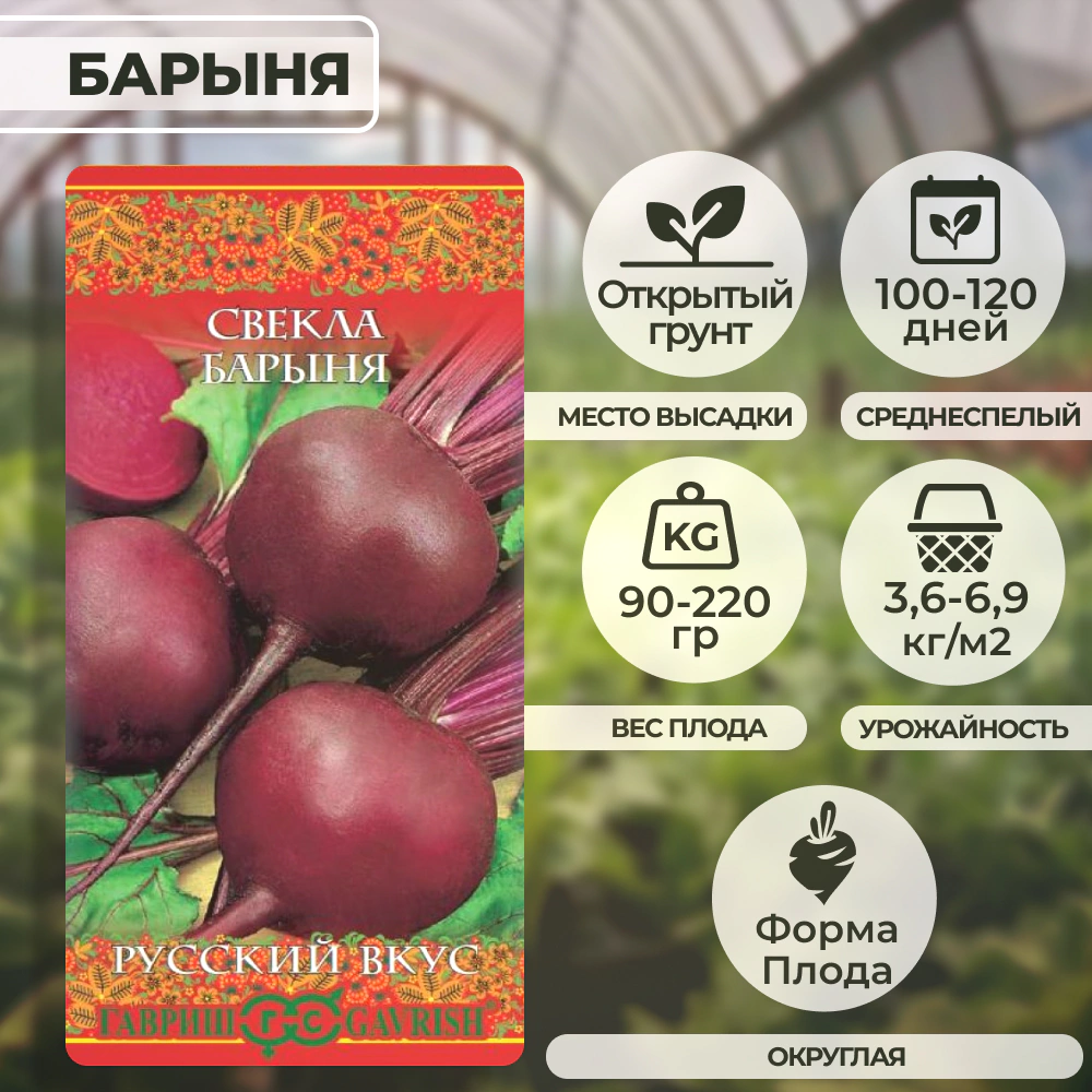 Свекла Барыня 2 г Русский вкус Н10 Гавриш