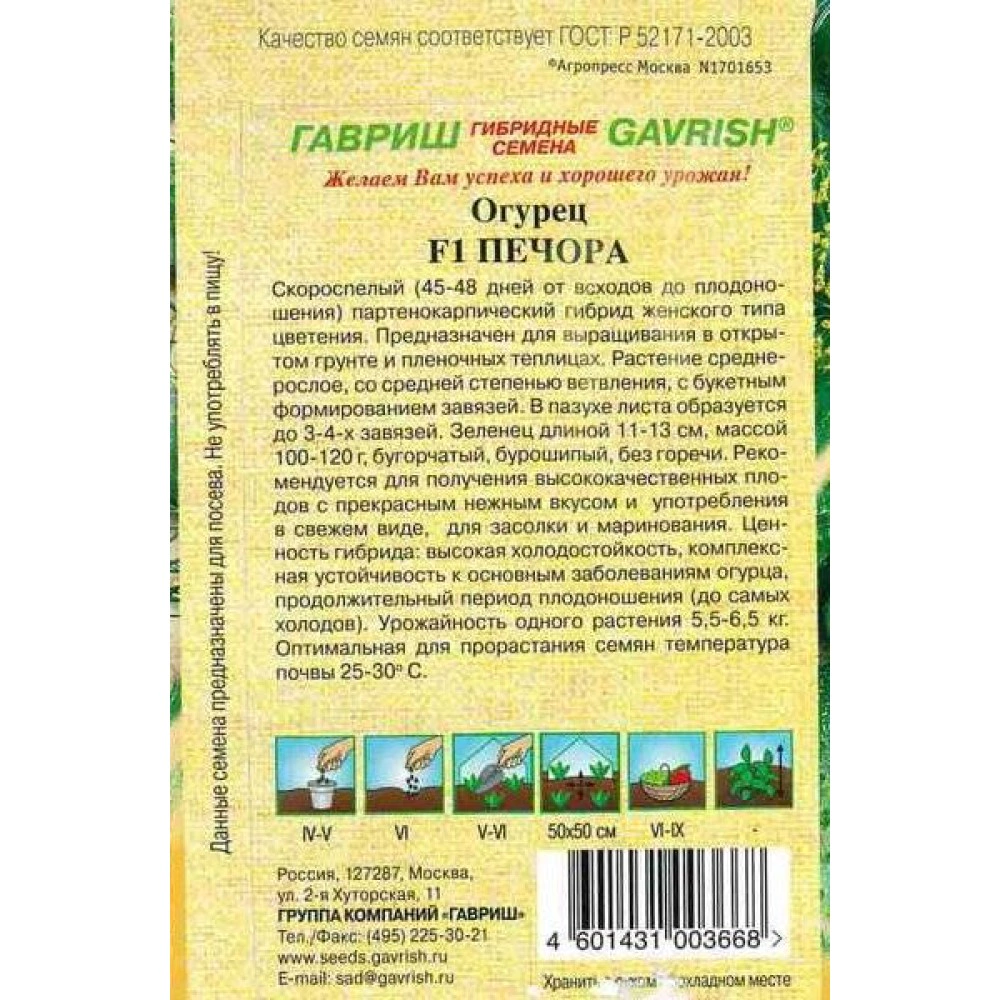 Огурец Печора 10 шт корнишон Гавриш