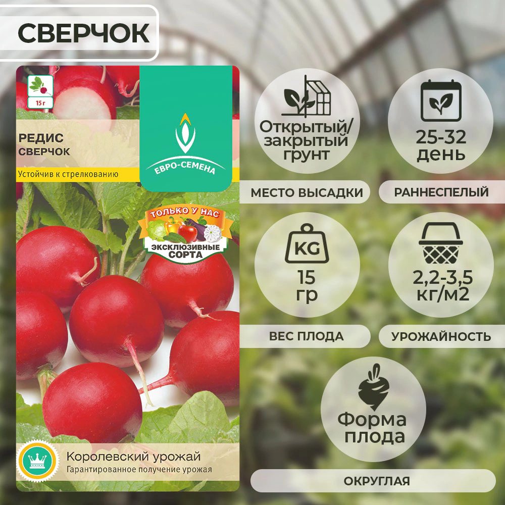 Редис Сверчок 2 г