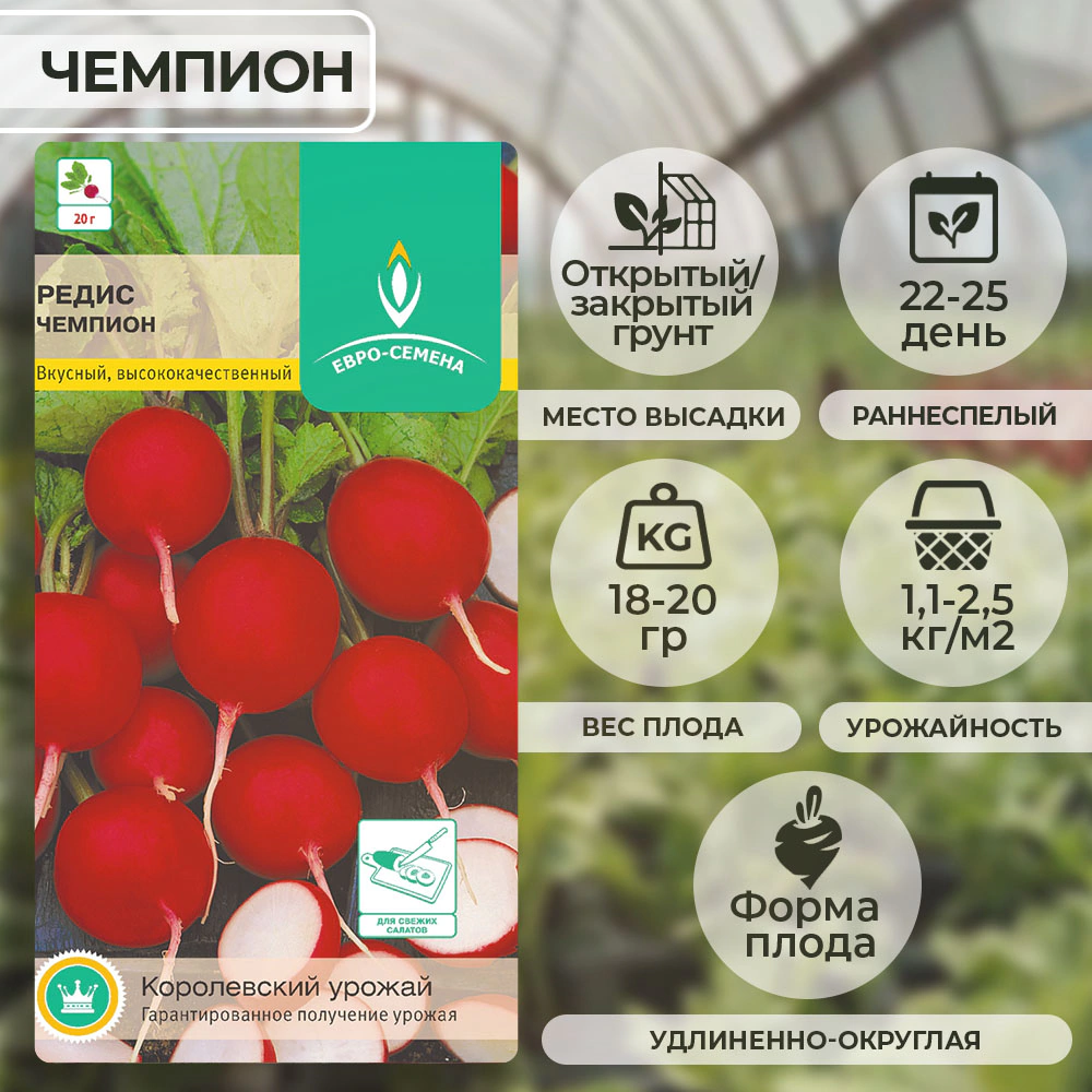 Редис Чемпион 2 г