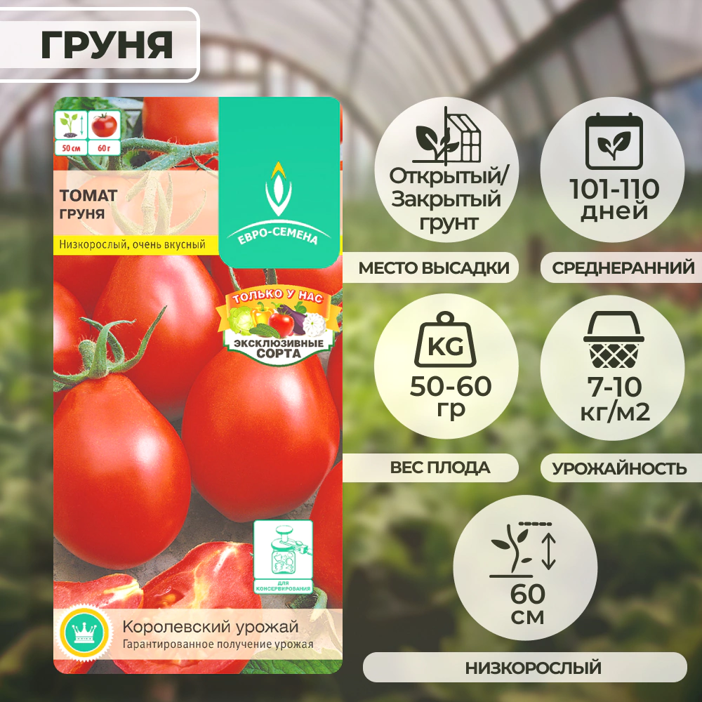 Томат Груня 0,1 г