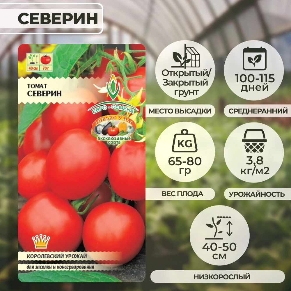 Томат Северин 0,1 г