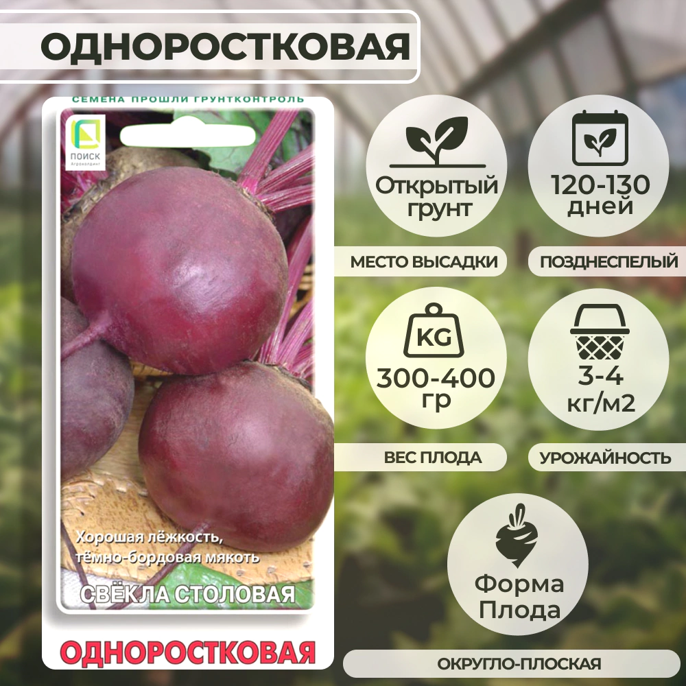 Свекла столовая Одноростковая 3 г Поиск