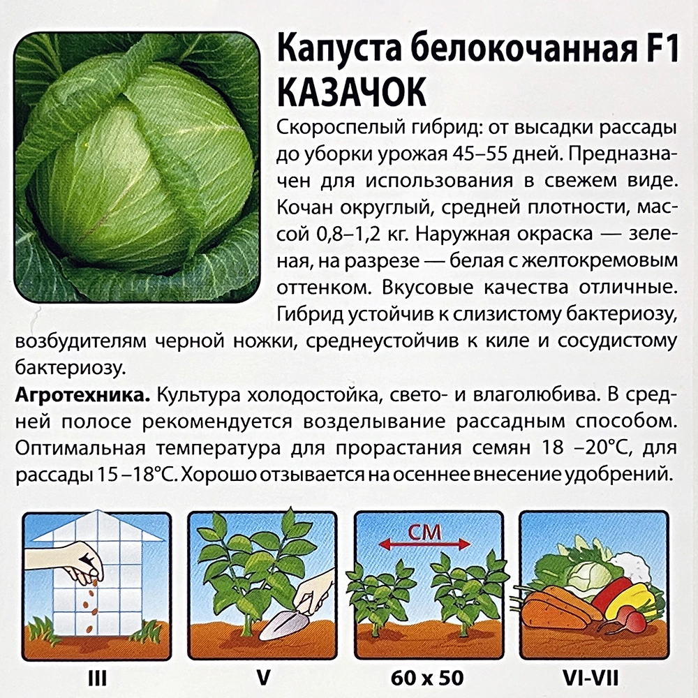 Капуста белокочанная Казачок F1, 0,25 г Русский огород