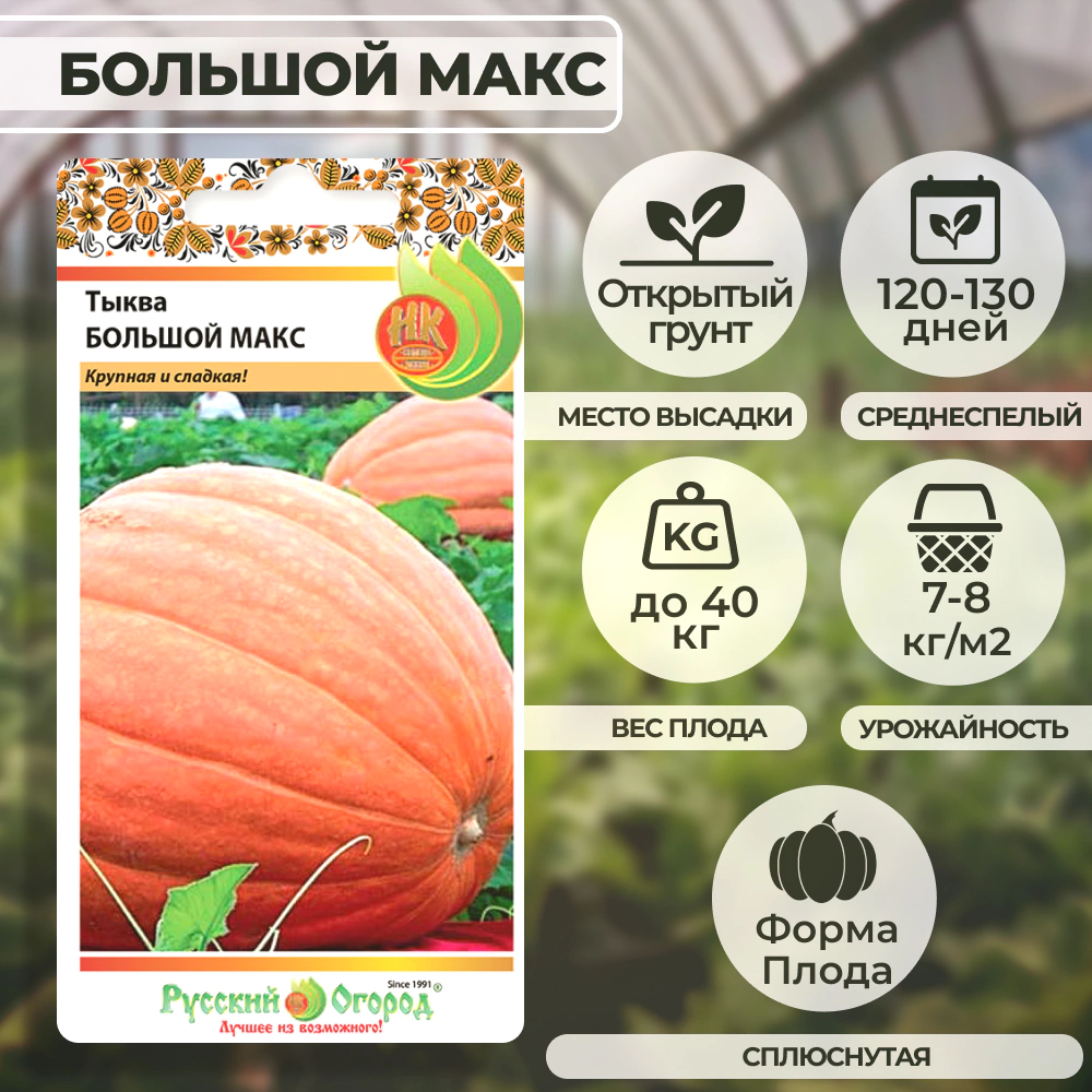 Тыква Большой Макс 1 г Русский огород