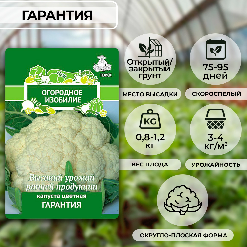 Капуста цветная Гарантия 0,5 г ОГ